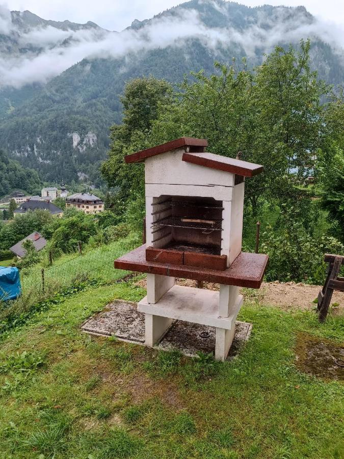 Ferienwohnung Im Nationalpark Gesaeuse Hieflau Exterior foto